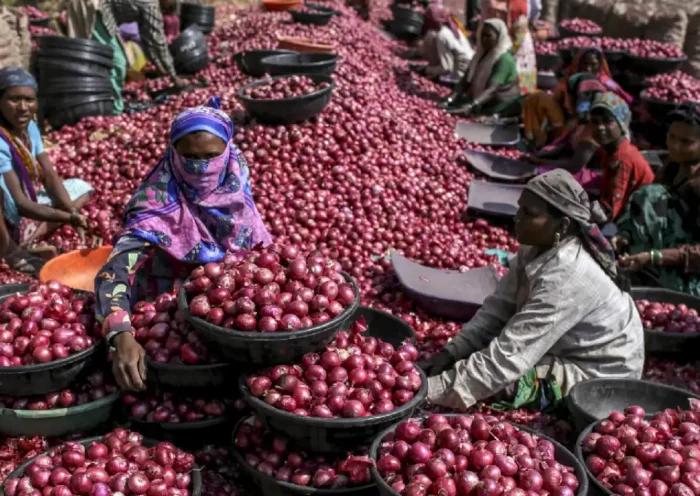 Onion made farmers cry, farmers stopped auction in Asia's biggest market Nashik