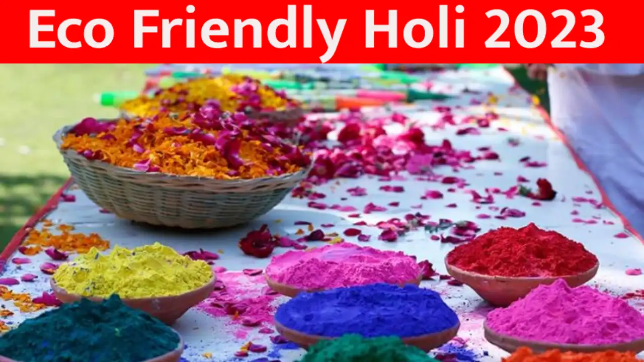 Eco Friendly Holi This time Holi will be played with gulal made of cow dung, special preparations going on in Jaipur for the festival