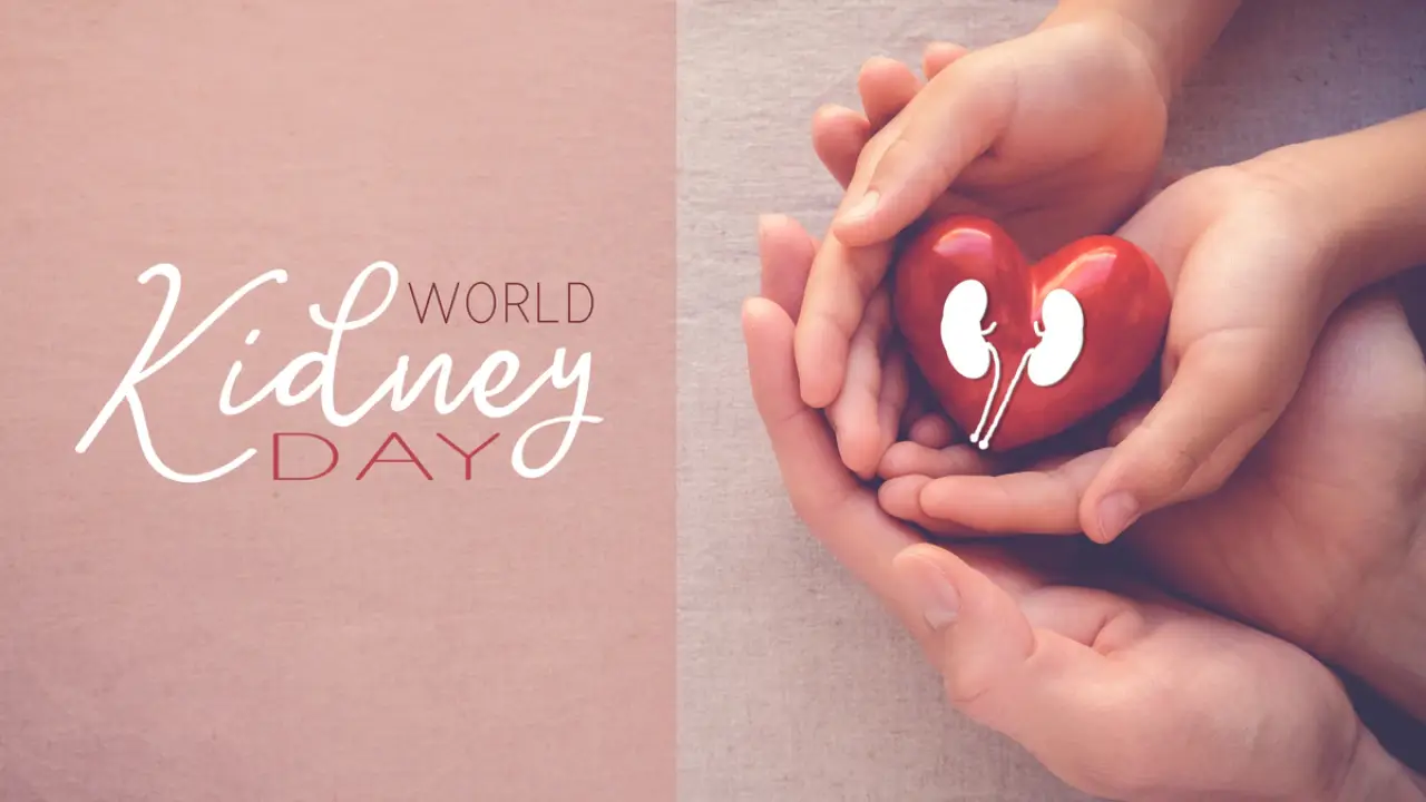 World Kidney Day | Sach Bedhadak