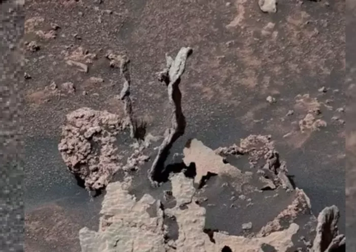 Traces of ancient life found on Mars, pictures sent by Curiosity Rover