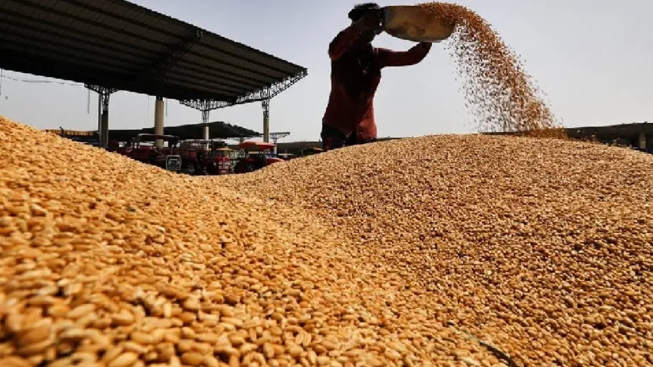 11.22 million tonnes of wheat production expected in india