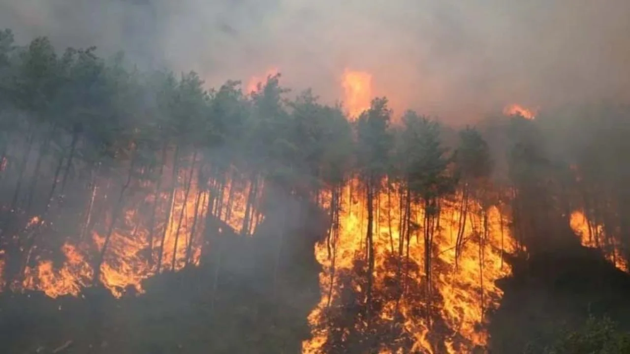 Fierce fire in the forests of South Korea, dozens of houses destroyed