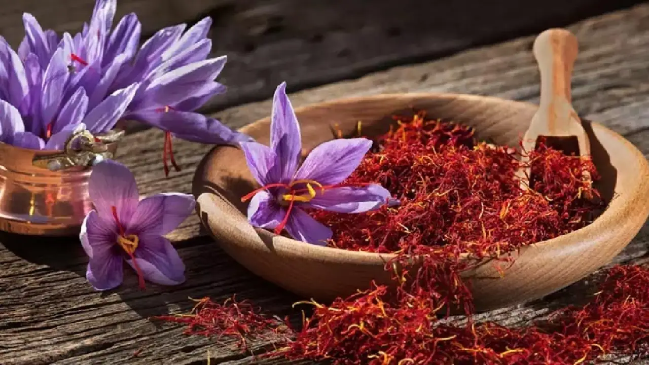 Saffron is the most valuable plant in the world, India's saffron is sold for Rs 3 lakh per kg