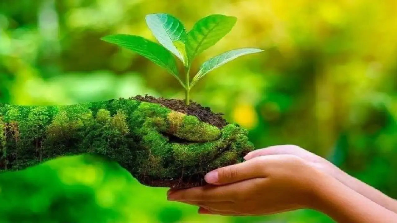 'Nandan Kanan' scheme will be launched in the state on Environment Day