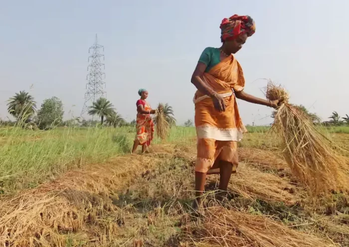 Maharashtra farmers | Sach Bedhadak