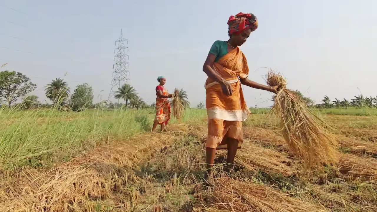 Maharashtra farmers | Sach Bedhadak
