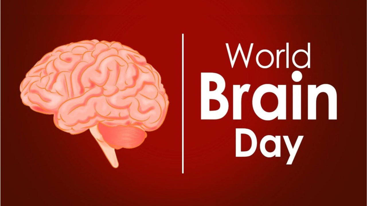 World Brain Day | Sach Bedhadak