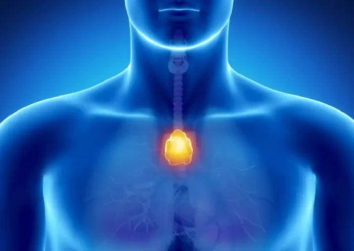 Thymus may have the ability to fight cancer surgery was said to be useless | Sach Bedhadak
