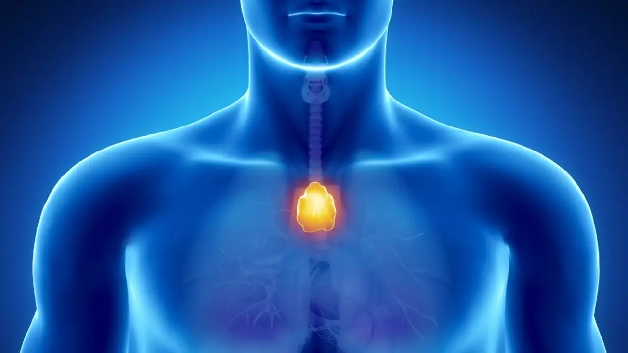 Thymus may have the ability to fight cancer surgery was said to be useless | Sach Bedhadak