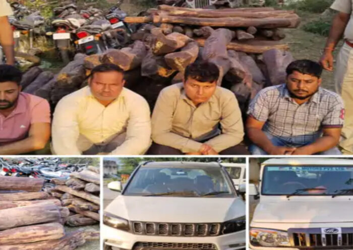 Rajasthan police caught Red Sandalwood | Sach Bedhadak