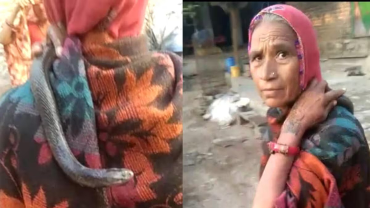 reincarnation elderly woman turns snake into her son in kota | Sach Bedhadak