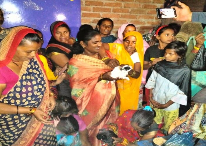 bitch gave birth to nine puppies in hamirpur 1 | Sach Bedhadak