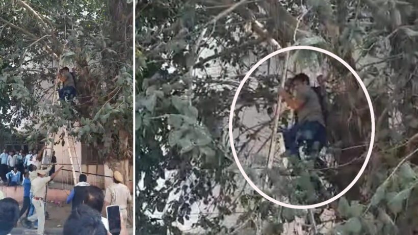 man attempted to suicide by hanging on tree In karauli | Sach Bedhadak