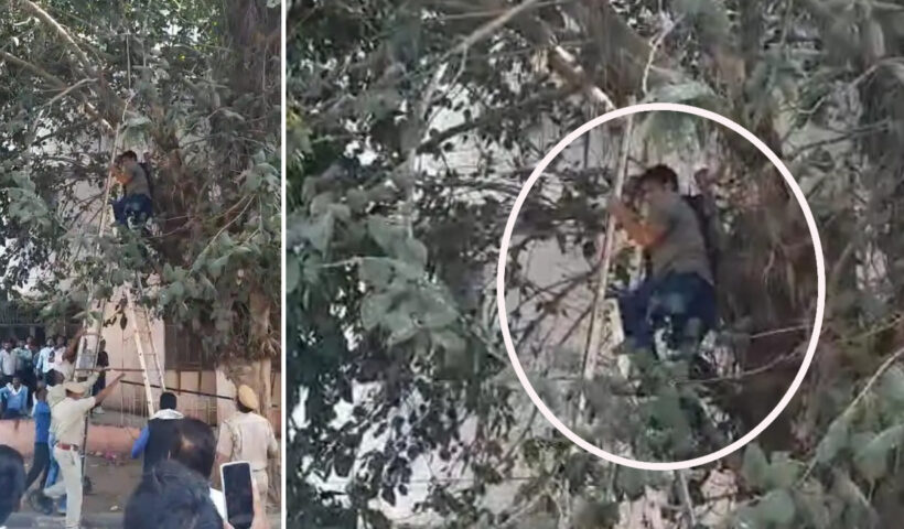 man attempted to suicide by hanging on tree In karauli | Sach Bedhadak